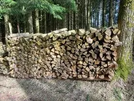 Brennholz Brennholz Fichte, Ahorn, Erle Hart und Weichholz