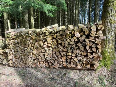 Brennholz Fichte, Ahorn, Erle Hart und Weichholz
