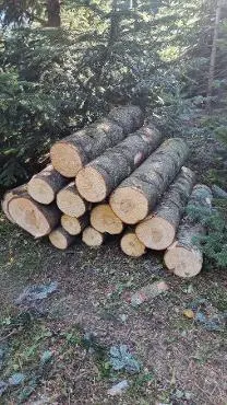 Rundholz Rundholz Tanne Nordmanntanne
