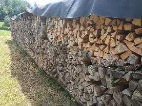 Brennholz Brennholz Esche