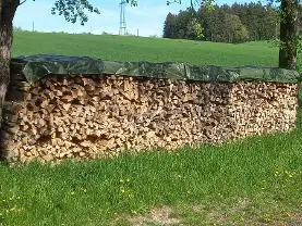 Brennholz Brennholz Esche