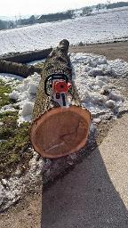 Rundholz Eiche Stephanshart 