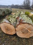 Rundholz Linde Geboltskirchen