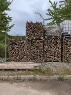 Brennholz Buche Eiche Esche Eisenach