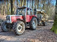 Brennholz Esche, Eiche, Buche