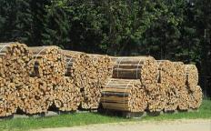 Brennholz Fichte, Tanne, Buche