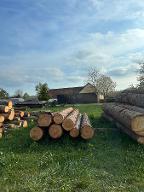 Rundholz Kiefer Kiefernstämme Königsdorf