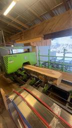 Schnittholz Esche Kern Esche