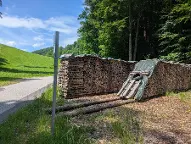Brennholz Buche Grimmenstein