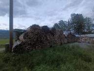 Brennholz Fichte, Esche, Sonstiges Holz Ofenfertig oder 1m
