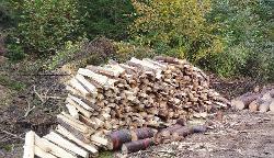 Brennholz Fichte, Kiefer