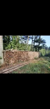 Brennholz Brennholz Birke, Erle