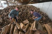 Brennholz Douglasie, Eibe, Esche