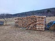 Brennholz Kiefer Halbtrocken bis Trocken Bad Sauerbrunn