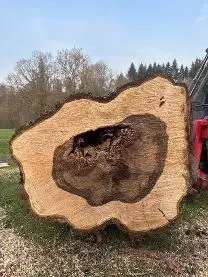 Rundholz Rundholz Nuss
