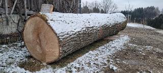 Rundholz Linde Gutau