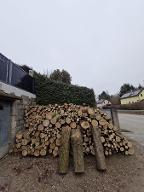 Rundholz Sonstiges Holz Akazie Kogl 