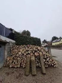 Rundholz Rundholz Sonstiges Holz Akazie
