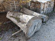 Rundholz Ulme
