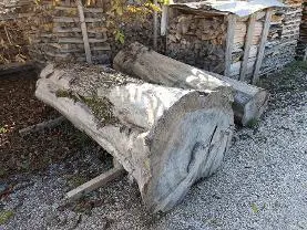 Rundholz Rundholz Ulme