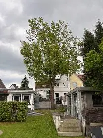 Rundholz Rundholz Esche