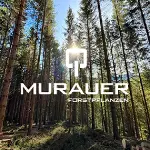 ad Murauer Forstpflanzen