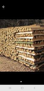 Brennholz Buche Meterscheiter