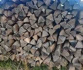 Brennholz Esche