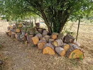 Rundholz Sonstiges Holz Föhre und Tanne Hochleithen