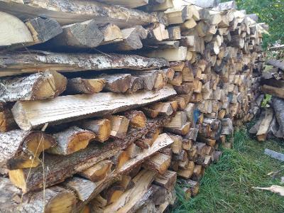 Brennholz Eiche, Ahorn, Buche Meterware