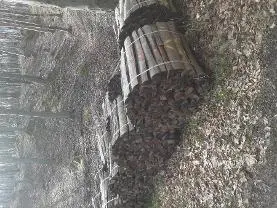 Brennholz Brennholz Buche