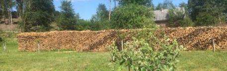 Brennholz Erle Fürstenfeld