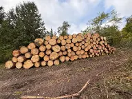 Rundholz Fichte Fi/Ta Starkholz Großraming
