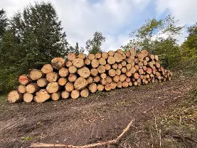 Rundholz Rundholz Fichte Fi/Ta Starkholz