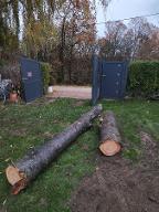 Rundholz Kirsche Wildkirsche