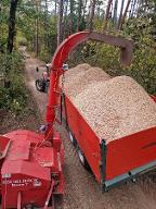 Hackgut Weichholz (>90%) Reith