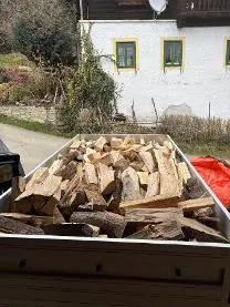 Brennholz Brennholz Esche