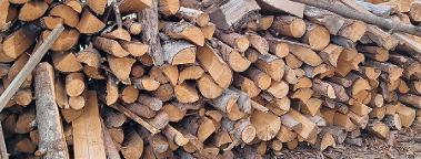 Brennholz Fichte Beuron