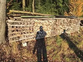 Brennholz Brennholz Buche