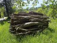 Brennholz Eiche, Buche Neuberg im Burgenland