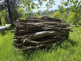 Brennholz Brennholz Eiche, Buche