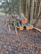 Rundholz Buche