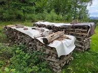 Brennholz Buche Dimbach