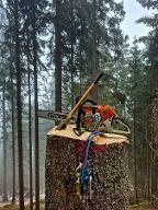 Forstservice Lerchbaumer  (sonstige forstliche Dienstleistung, Holzernte & Rückung, Baumabtragung/-pflege) St.Urban