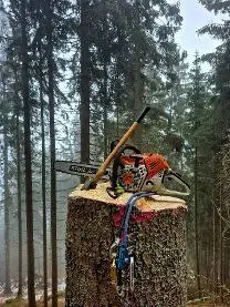 Dienstleistung Forstservice Lerchbaumer 