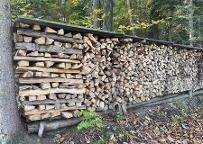 Brennholz Buche, Kastanie