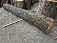 Rundholz Linde Gloggnitz