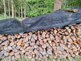Brennholz Brennholz Fichte
