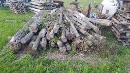 Rundholz Sonstiges Holz Akazie