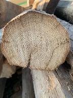 Holzprodukte Bauholz Altholz Dübelbaum